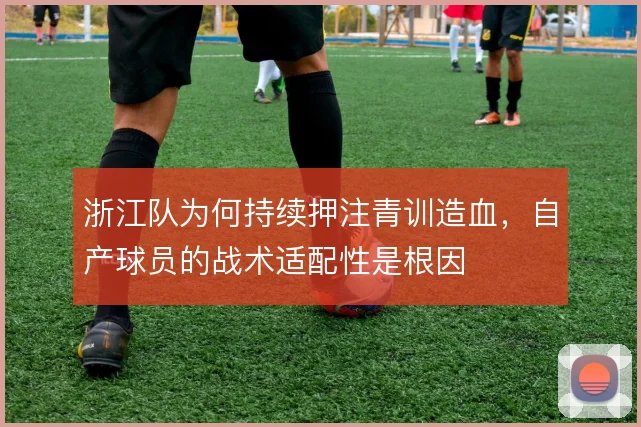 浙江队为何持续押注青训造血，自产球员的战术适配性是根因