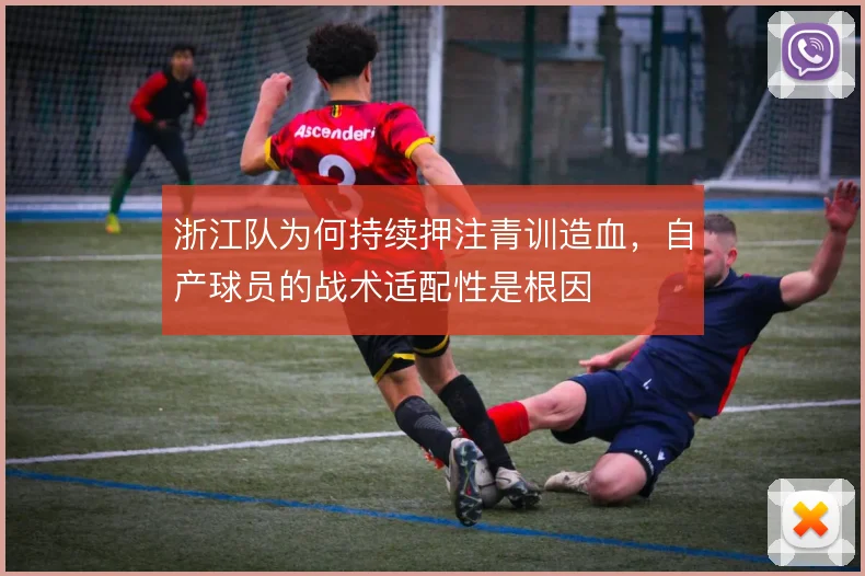 浙江队为何持续押注青训造血，自产球员的战术适配性是根因
